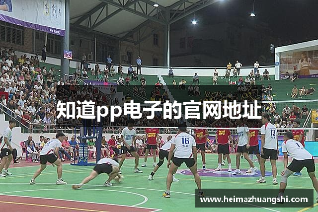 知道pp电子的官网地址